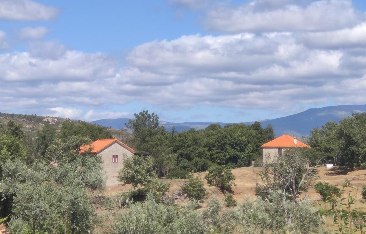 Quinta Da Adarnela Apartment Lagares da Beira Bagian luar foto
