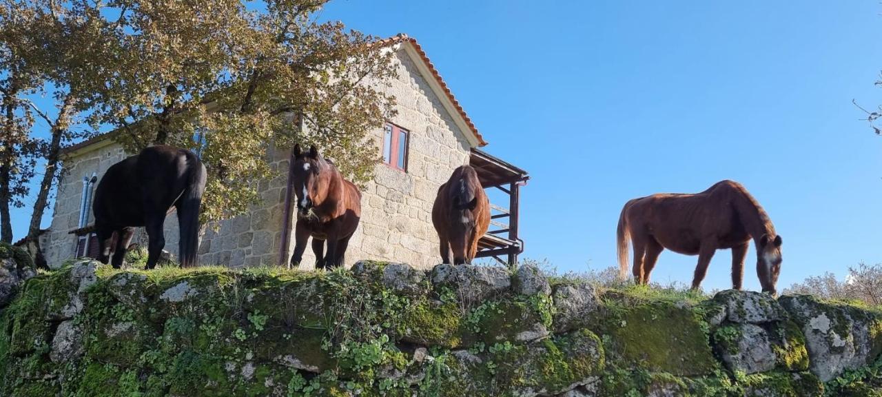 Quinta Da Adarnela Apartment Lagares da Beira Bagian luar foto
